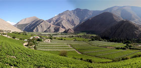 Photos of Chilean Wine Country